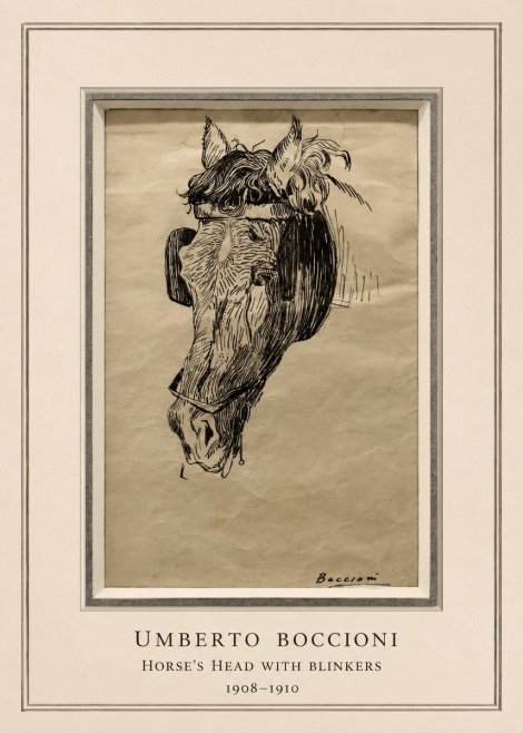 Umberto Boccioni Horse's Head with Blinkers No5 - Plakát