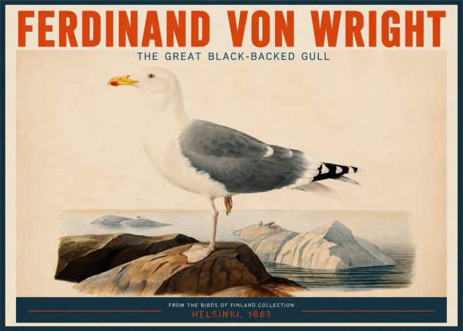 Ferdinand von Wright The Great Black-backed Gull No2 - Plakát