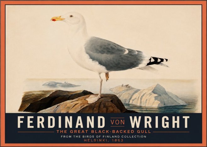 Ferdinand von Wright The Great Black-backed Gull No4 - Plakát