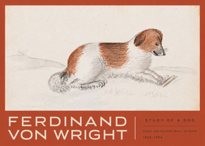 Ferdinand von Wright Study of a Dog No3 - Plakát