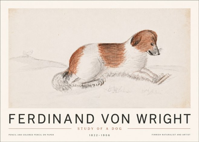 Ferdinand von Wright Study of a Dog No6 - Plakát