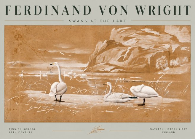 Ferdinand von Wright Swans at the Lake No6 - Plakát