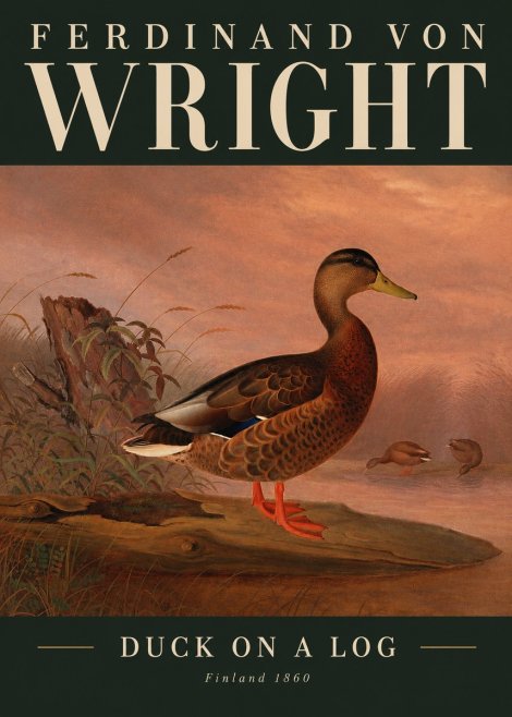Ferdinand von Wright Wild Duck No3 - Plakát