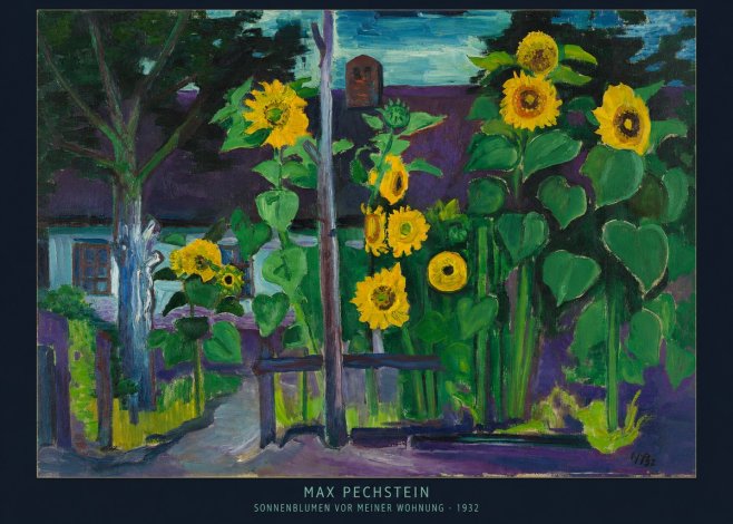 Max Pechstein Sonnenblumen Vor Meiner Wohnung No6 - Plakát
