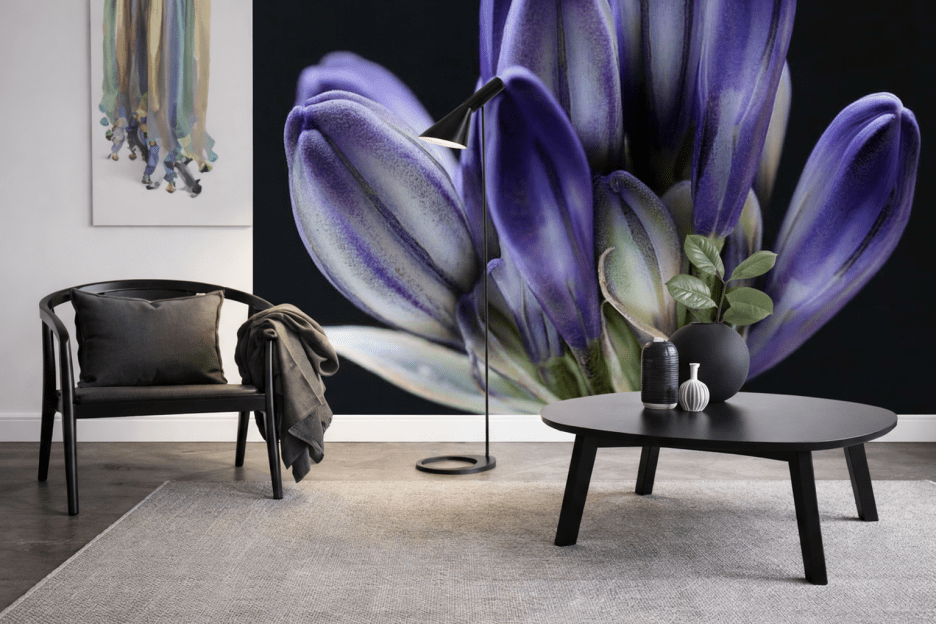 Fjord Reverberations