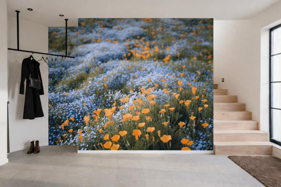Wisping Poppy Fields