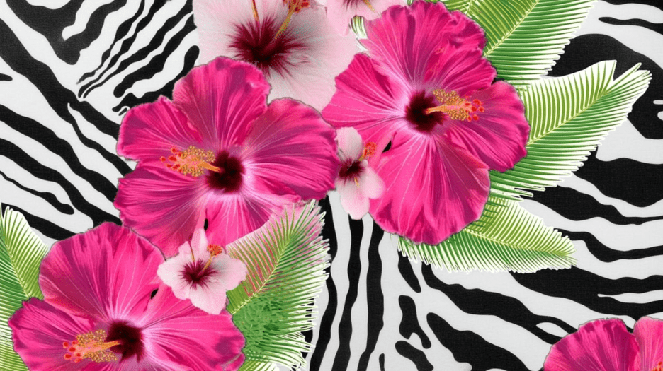 Tropical Stripe Fusion