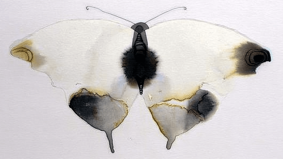 Ombre Lepidoptera