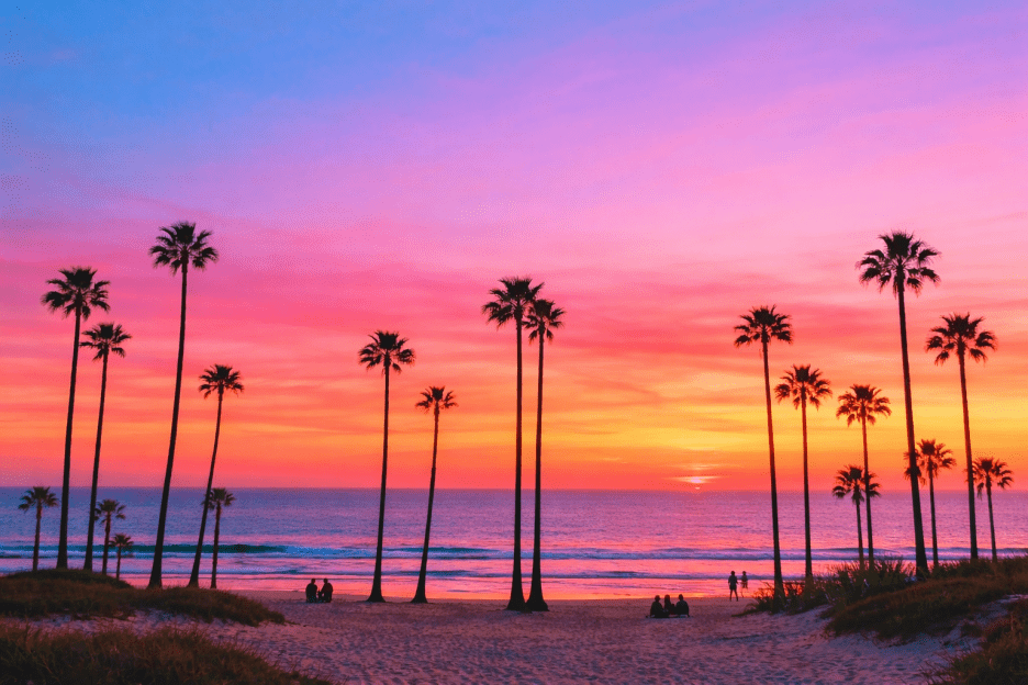 Tropic Vista