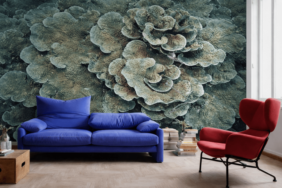 Coral Fusion