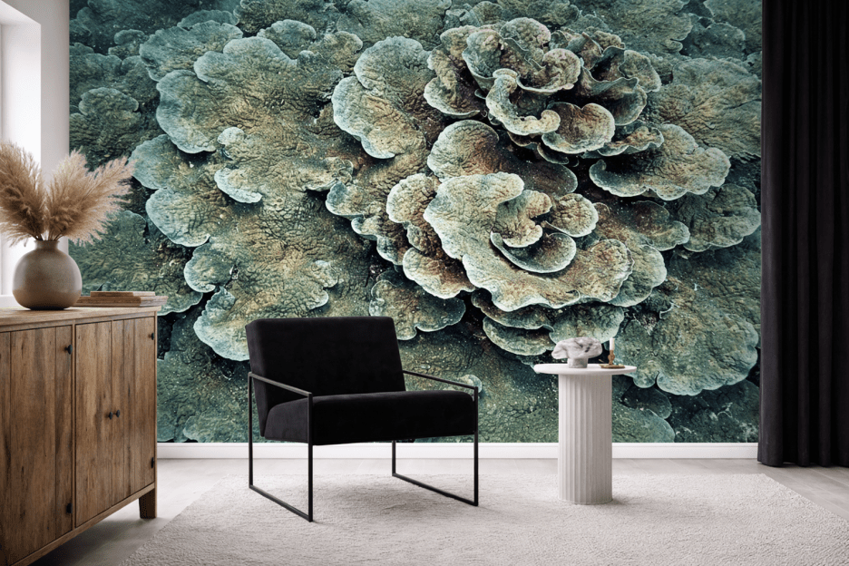 Coral Fusion