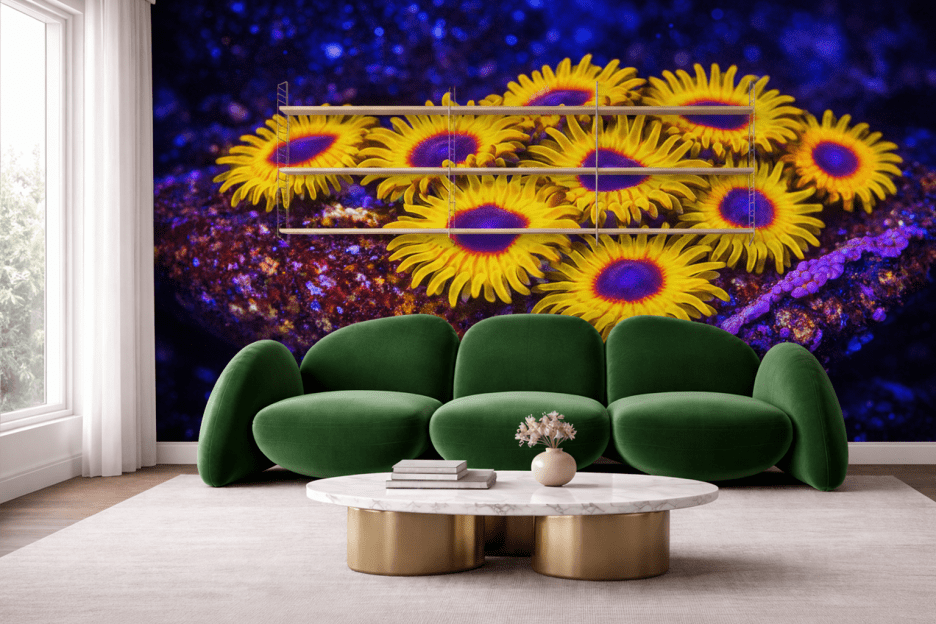 Sunfire Oasis