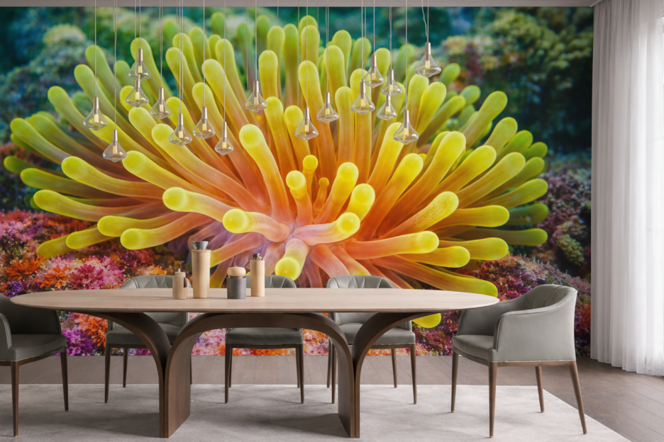 Amber Anemone Garden