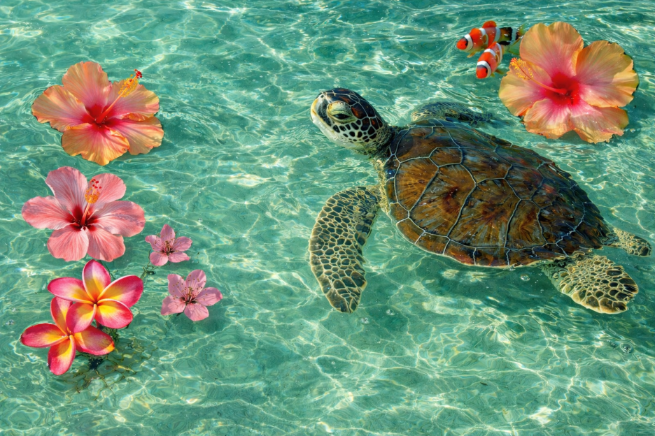 Ocean Floral Mosaic