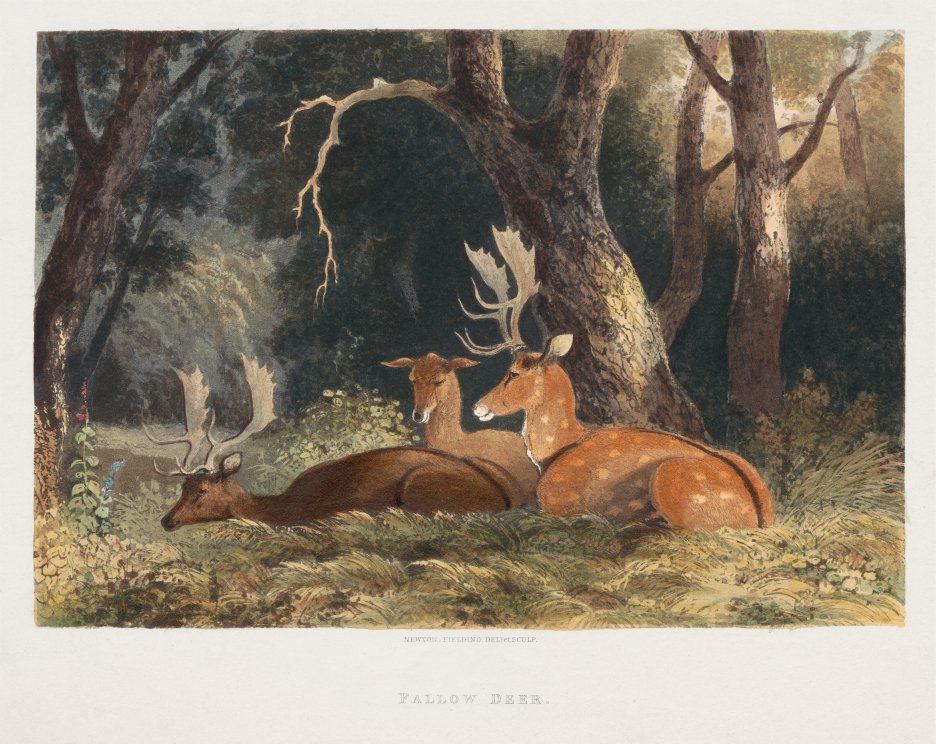 Fallow Grove Retreat