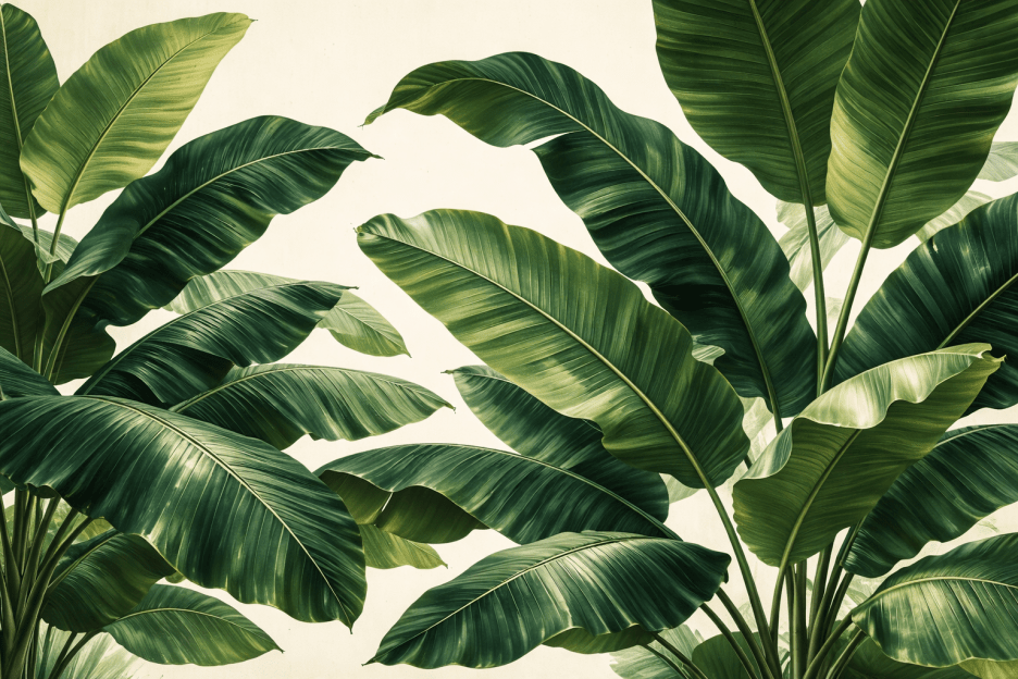 Tropical Canopy Ii