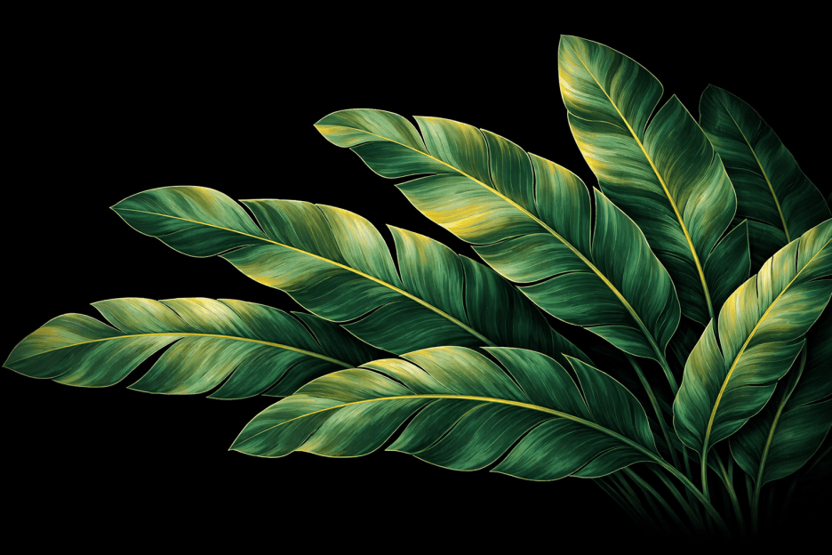 Tropical Fronds Ii