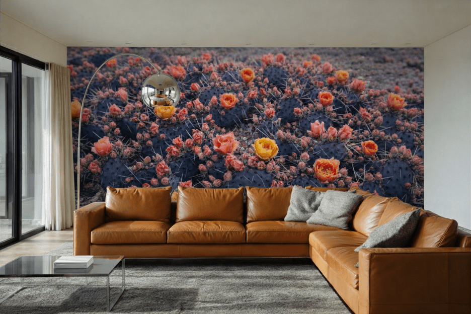 Cactus Blossom Oasis