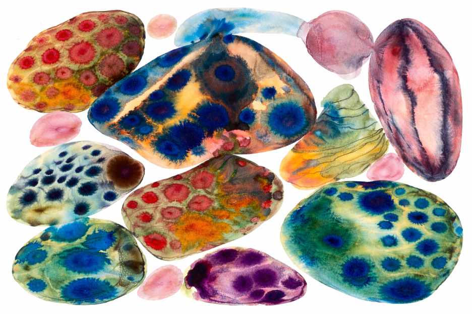 Vibrant Pebble Mosaic