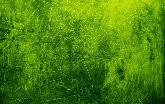 Verdant Cradle