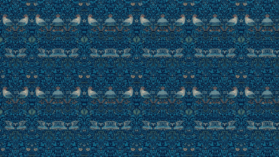 Aerial Canopy Layer