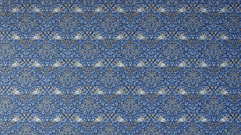 Avian Harmony