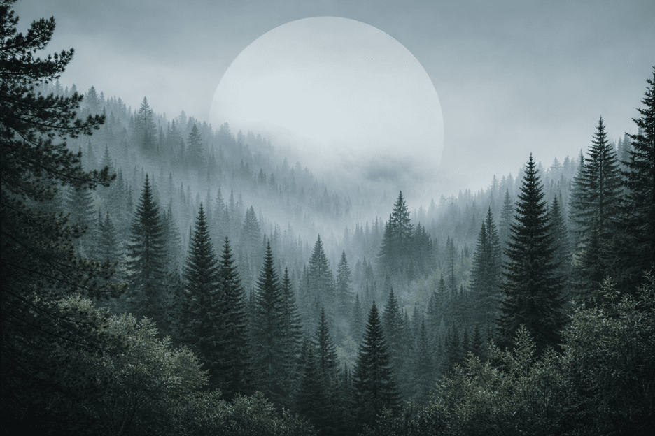 Twilight Horizon