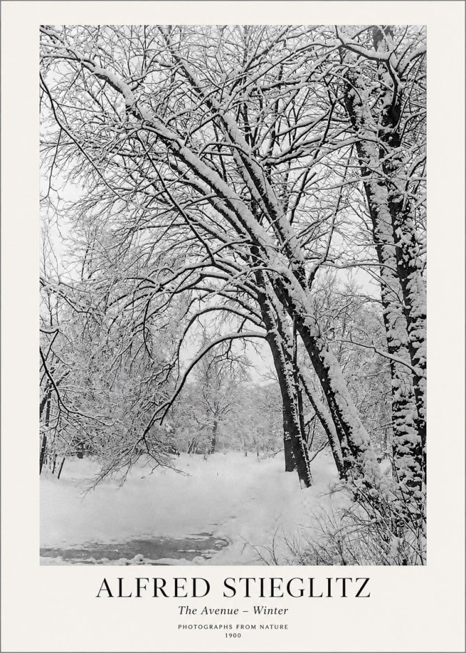 Alfred Stieglitz The Avenue – Winter No1 - Plakát
