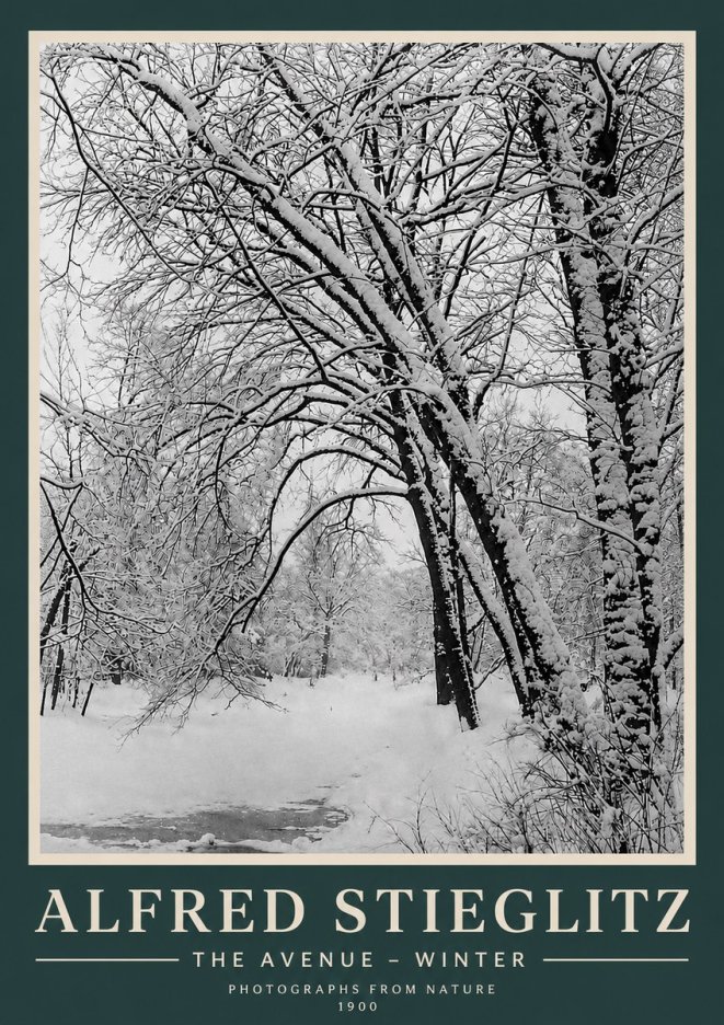 Alfred Stieglitz The Avenue – Winter No3 - Plakát