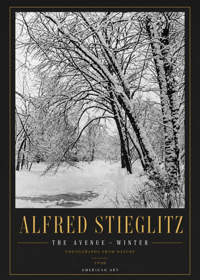 Alfred Stieglitz The Avenue – Winter No6 - Plakát