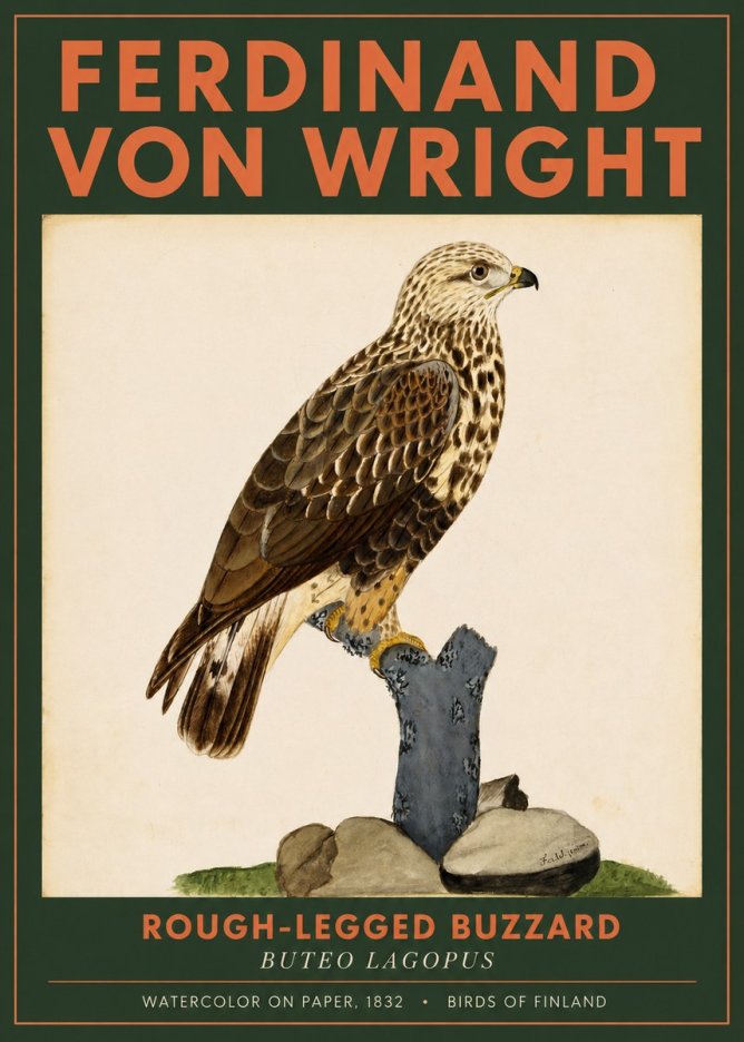 Ferdinand von Wright Rough-legged Buzzard No2 - Plakát