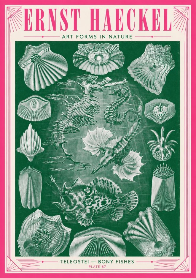 Ernst Haeckel Teleostei - Bony Fishes No3 - Plakát