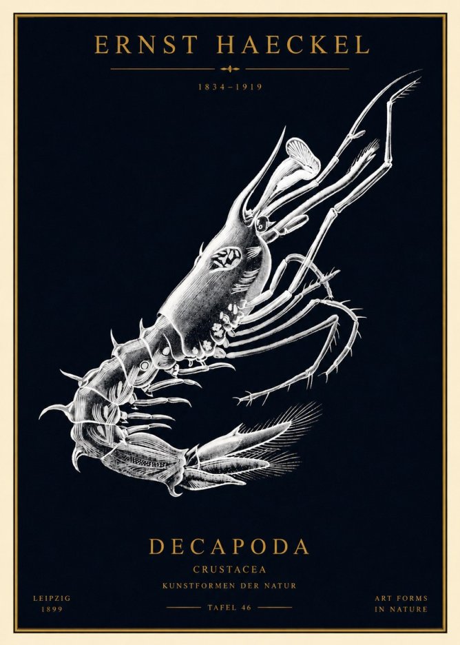 Ernst Haeckel Decapoda the Crustaceans No4 - Plakát