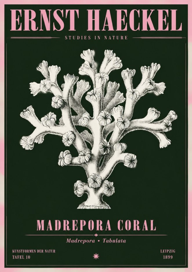 Ernst Haeckel Corallium Rubrum I No5 - Plakát