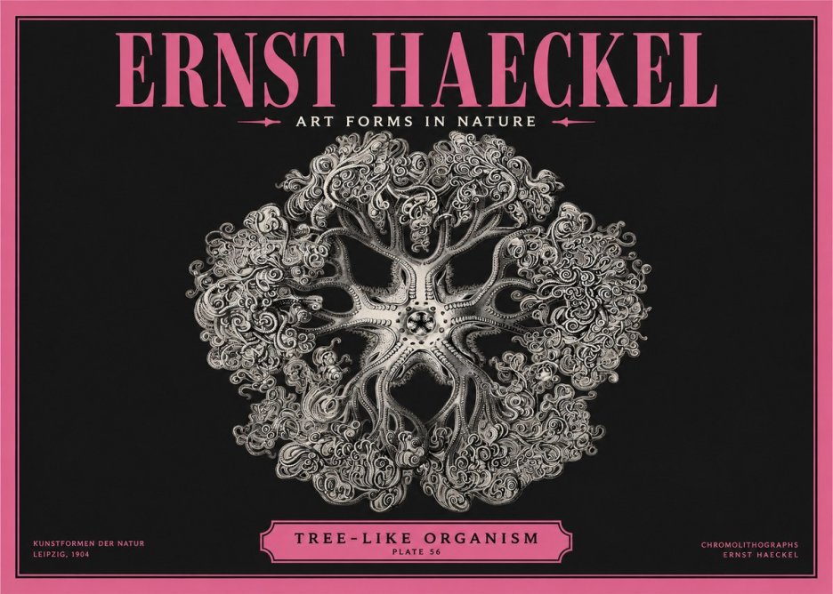 Ernst Haeckel Tree-like Organism No2 - Plakát