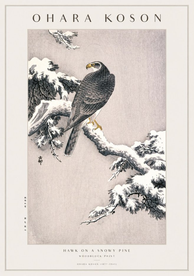 Ohara Koson Hawk on a Snowy Pine No1 - Plakát