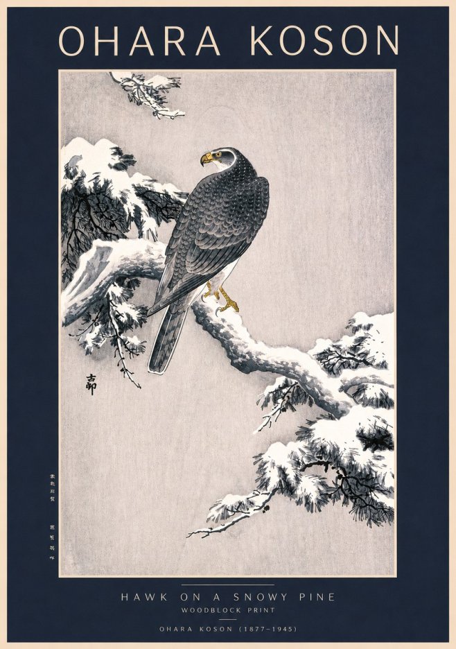 Ohara Koson Hawk on a Snowy Pine No2 - Plakát