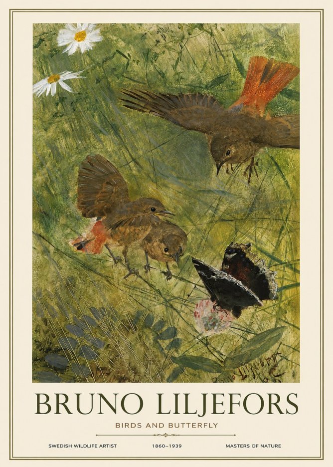 Bruno Liljefors Birds and Butterfly No1 - Plakát