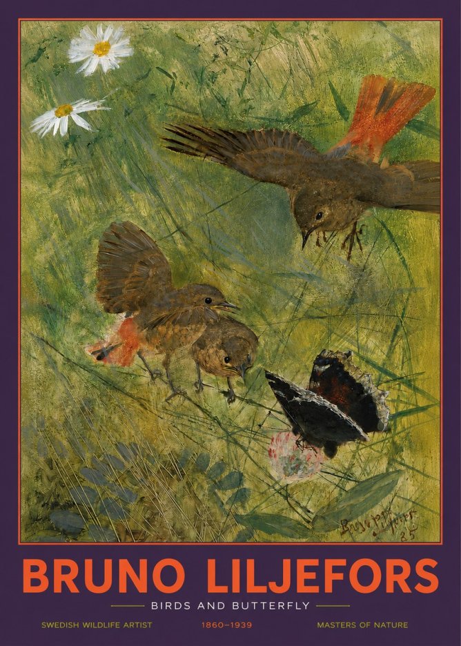 Bruno Liljefors Birds and Butterfly No2 - Plakát