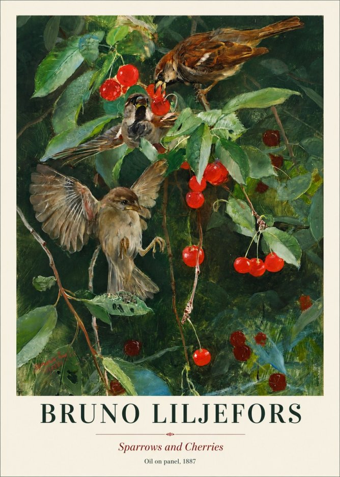 Bruno Liljefors Sparrows and Cherries No1 - Plakát