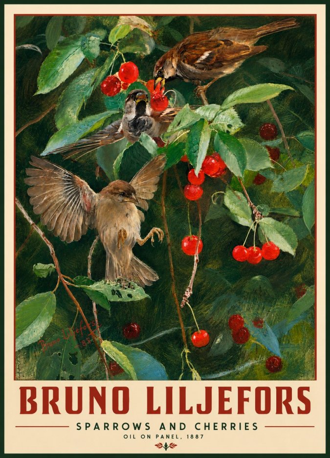 Bruno Liljefors Sparrows and Cherries No2 - Plakát