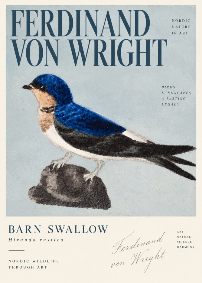 Ferdinand von Wright Swallow (Hirundo Rustica) No4 - Plakát