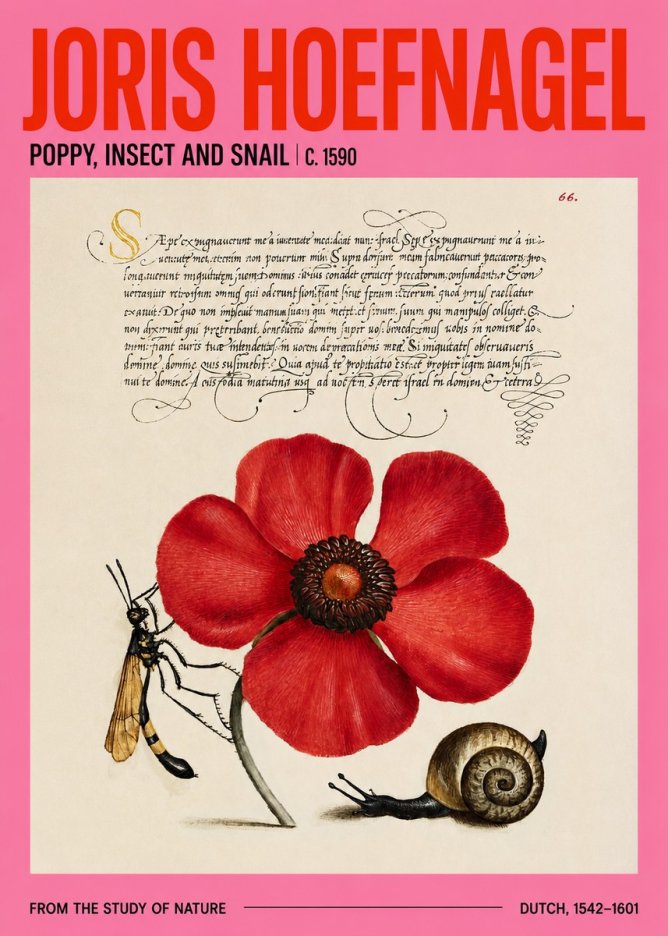 Joris Hoefnagel Poppy, Wasp & Snail No4 - Plakát