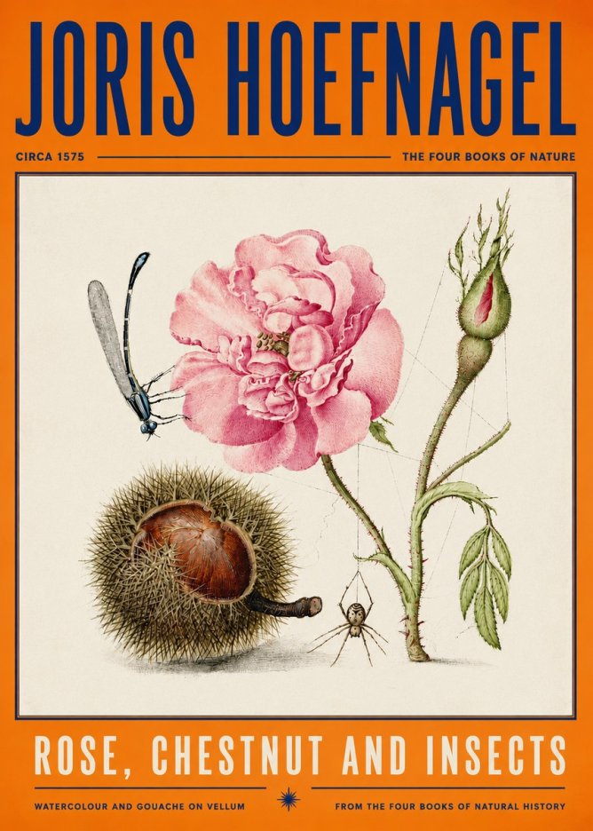 Joris Hoefnagel Rose, Chestnut and Insects No4 - Plakát
