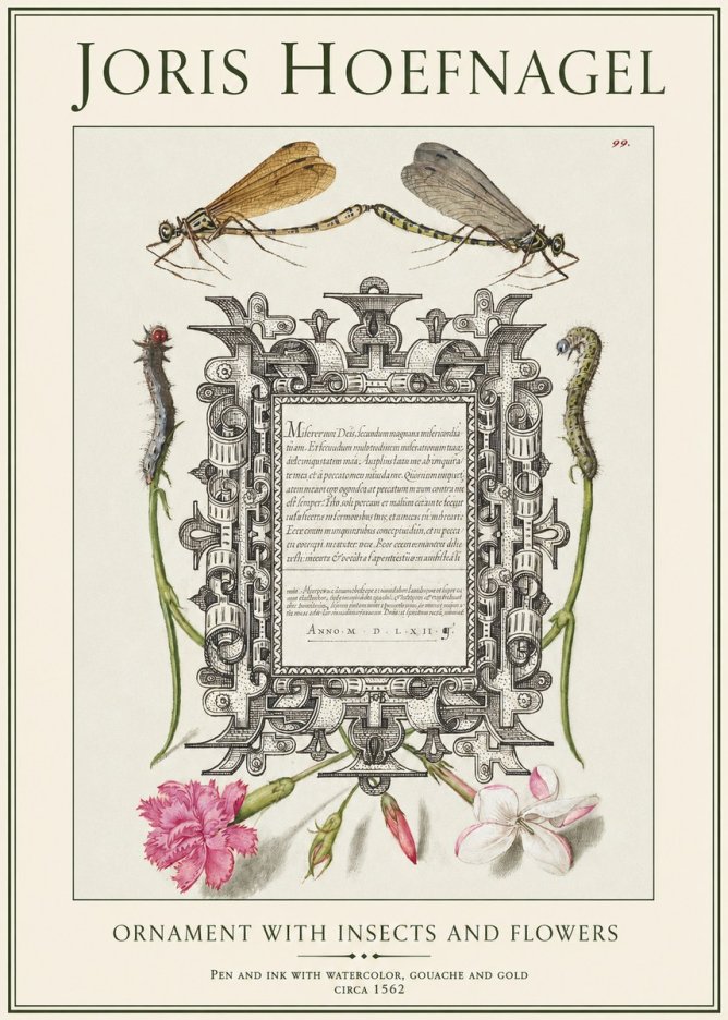 Joris Hoefnagel Ornamental Frame with Damselflies, Caterpillars and Flowers No2 - Plakát