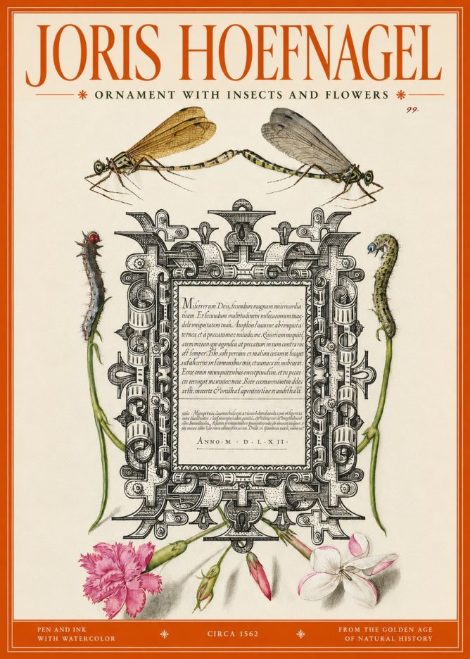 Joris Hoefnagel Ornamental Frame with Damselflies, Caterpillars and Flowers No3 - Plakát