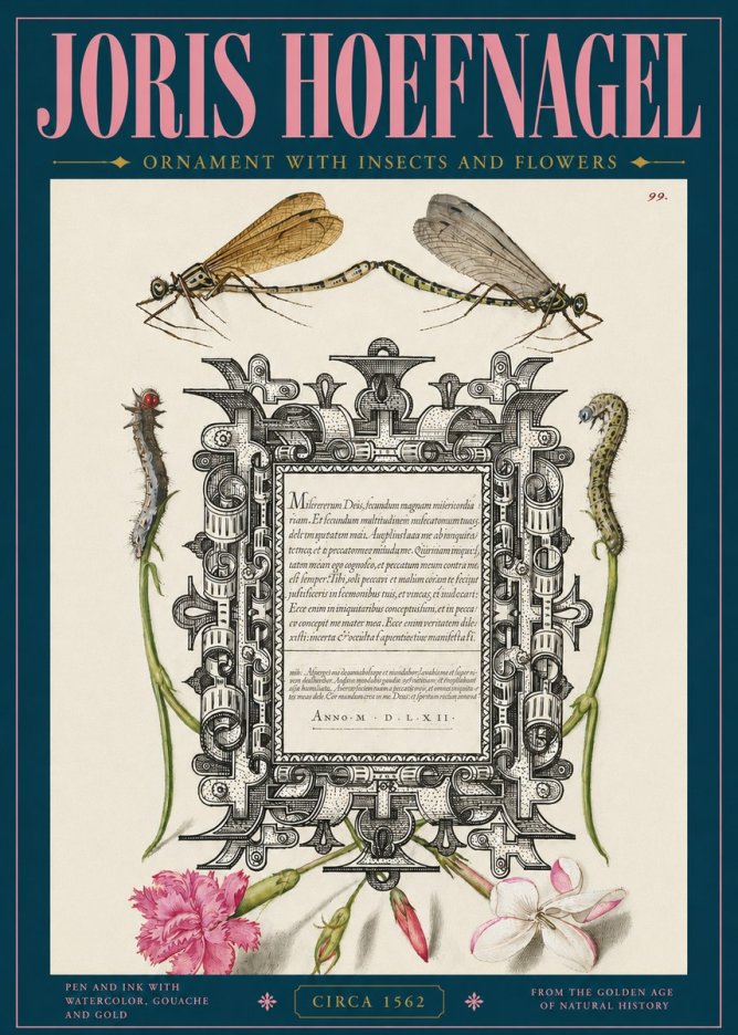 Joris Hoefnagel Ornamental Frame with Damselflies, Caterpillars and Flowers No5 - Plakát