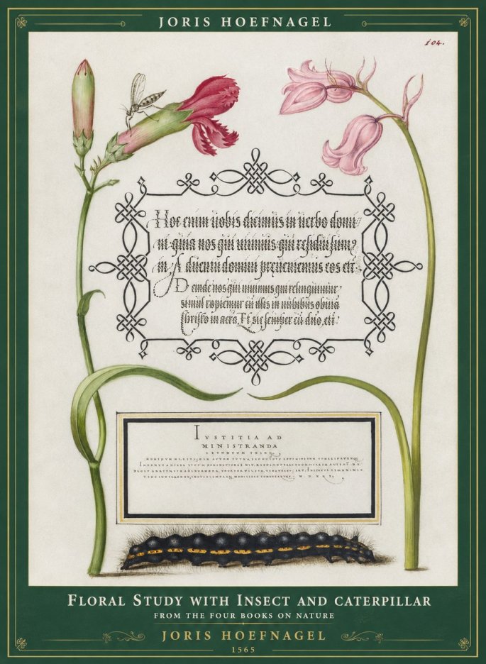Joris Hoefnagel Floral Study with Insect and Caterpillar No1 - Plakát