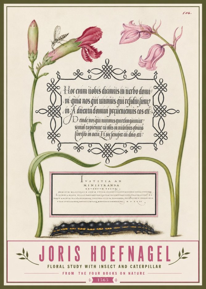 Joris Hoefnagel Floral Study with Insect and Caterpillar No3 - Plakát