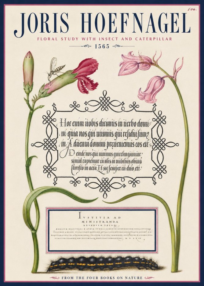 Joris Hoefnagel Floral Study with Insect and Caterpillar No4 - Plakát